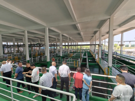 9001cc金沙以诚为本(中国集团)有限公司官网