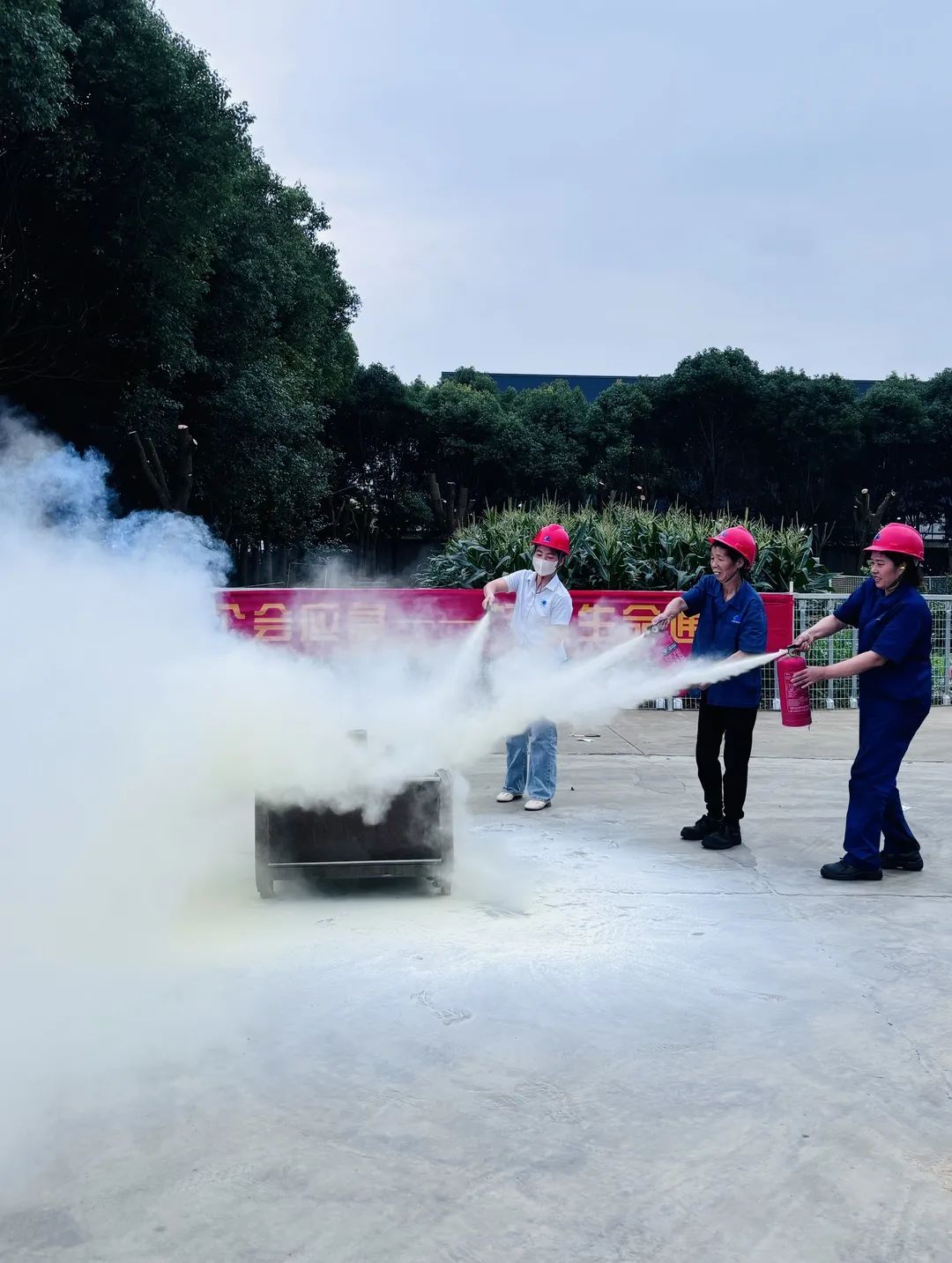 9001cc金沙以诚为本(中国集团)有限公司官网